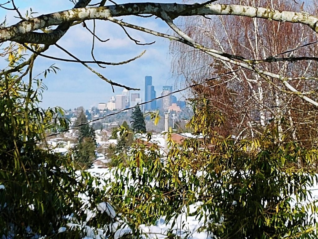 Seattle-View-Through-the-Trees