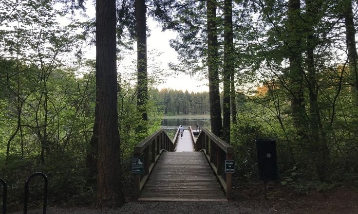 Dock Entrance