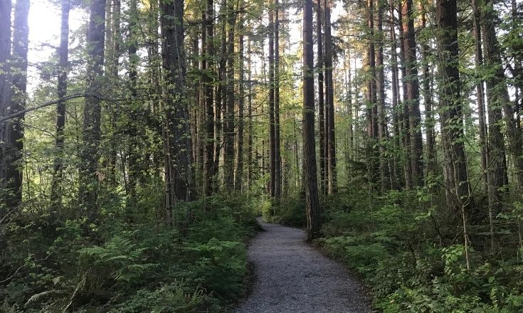 Loop trail around the lake