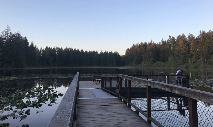 Yellow Lake Dock