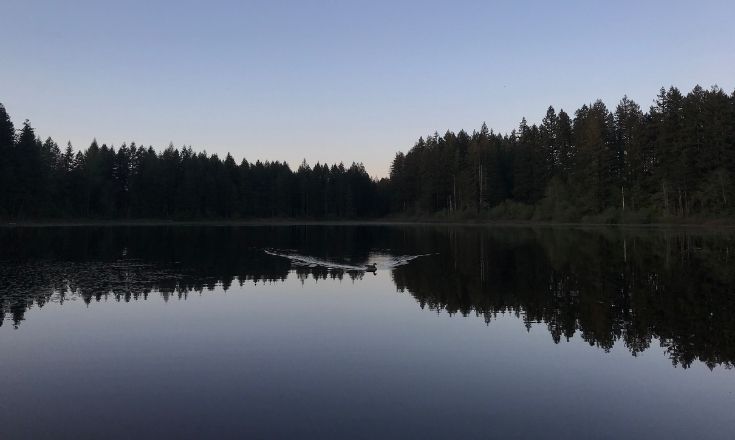 Yellow Lake symmetric reflection