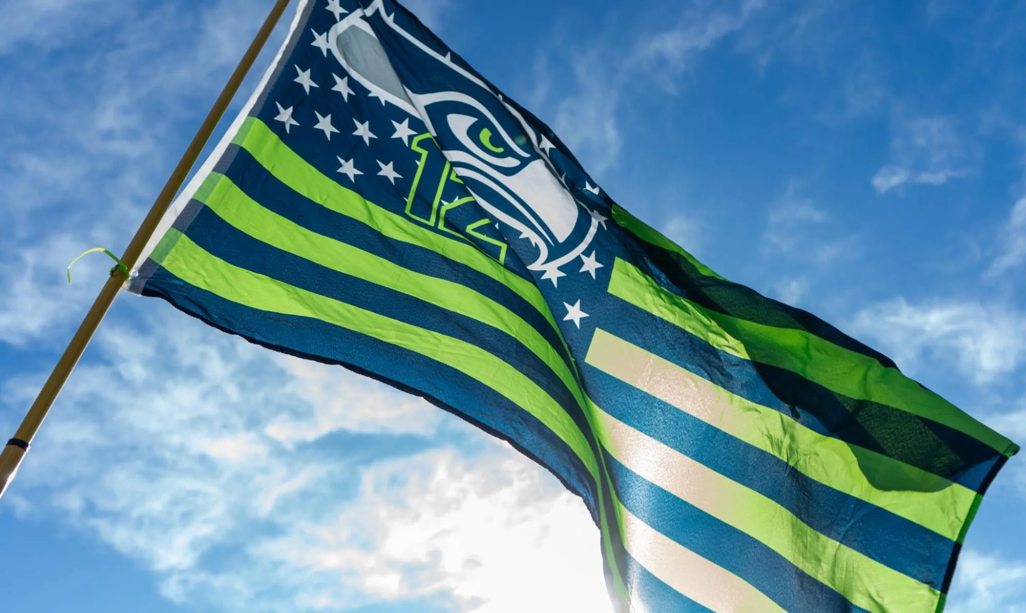 Seahawks fans flood downtown for Super Bowl celebration