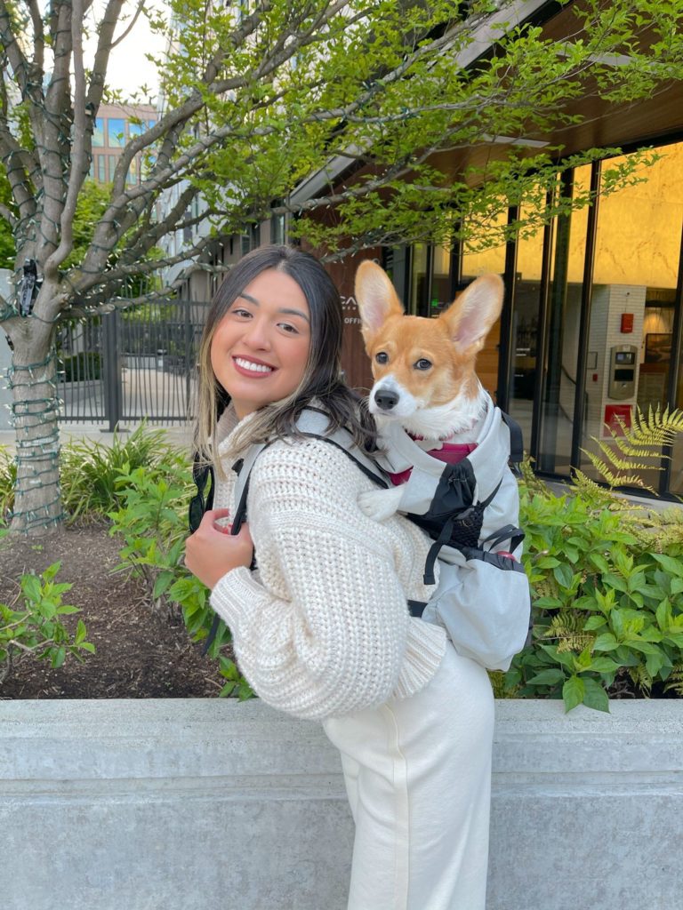 Vanilla ventures into Katheleen's backpack on tours of Seattle.