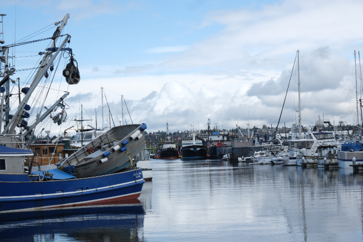 Commercial and luxury boats both docked at the Fishermen’s Terminal.